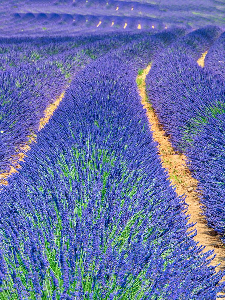 Similar wall art painting: 752528