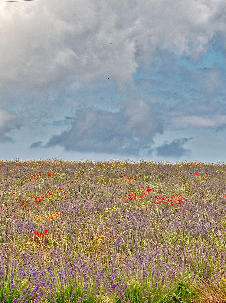 Similar wall art painting: 752530