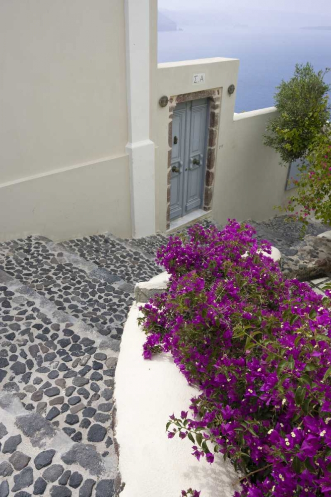 Wall Art Painting id:136315, Name: Greece, Santorini, Oia Pebbled stree stairs, Artist: Young, Bill