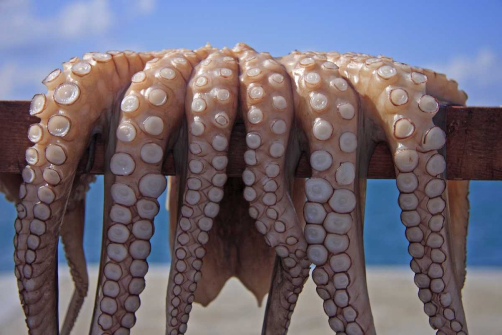 Similar wall art painting: 131342