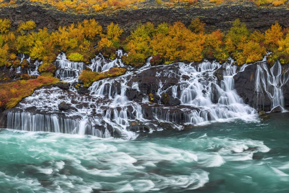 Art Print: Iceland, Hraunfossar Autumn waterfalls