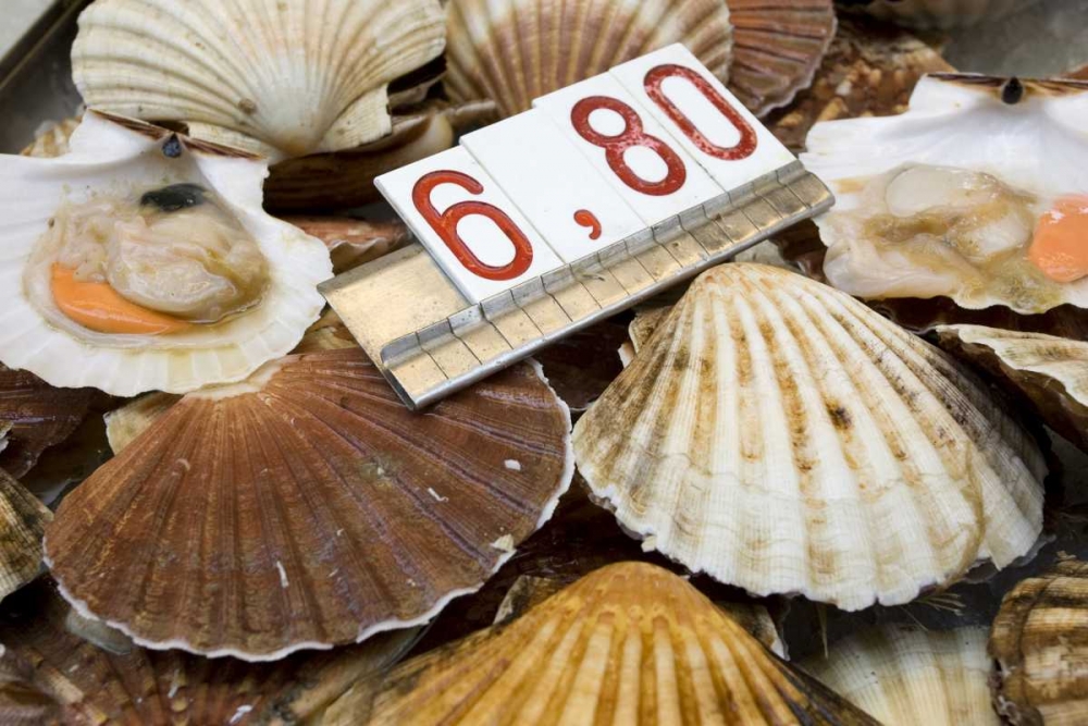 Art Print: Italy, Venice Scallops for sale in the market