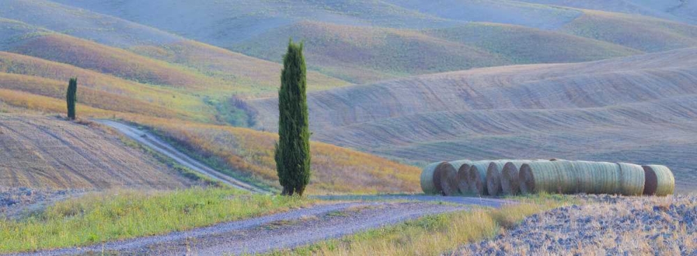 Art Print: Italy, Tuscany Hay bales and farmland