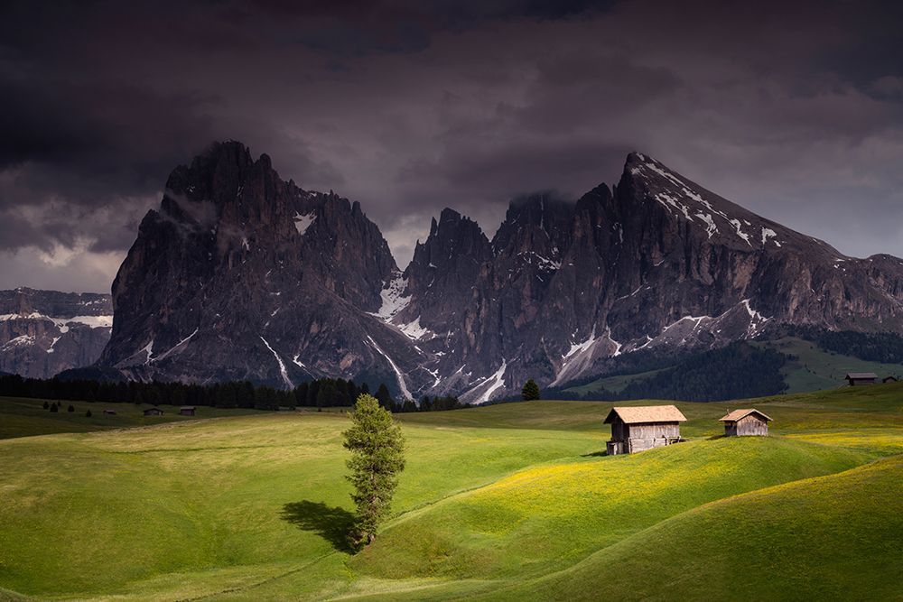 Art Print: Europe-Italy-South Tirol-Alpine meadows with the Sasso Lungo and Sasso Piatto Mountains