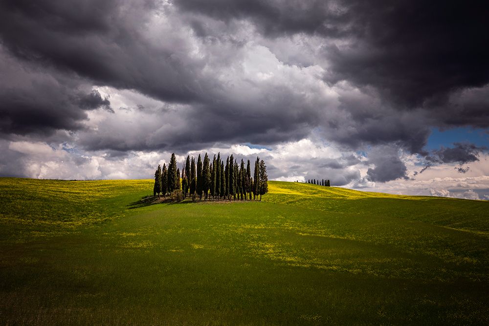 Art Print: Europe-Italy-Tuscany-Val d Orcia-Cypress grove and farmland