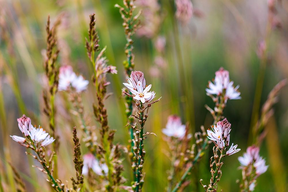 Similar wall art painting: 402911