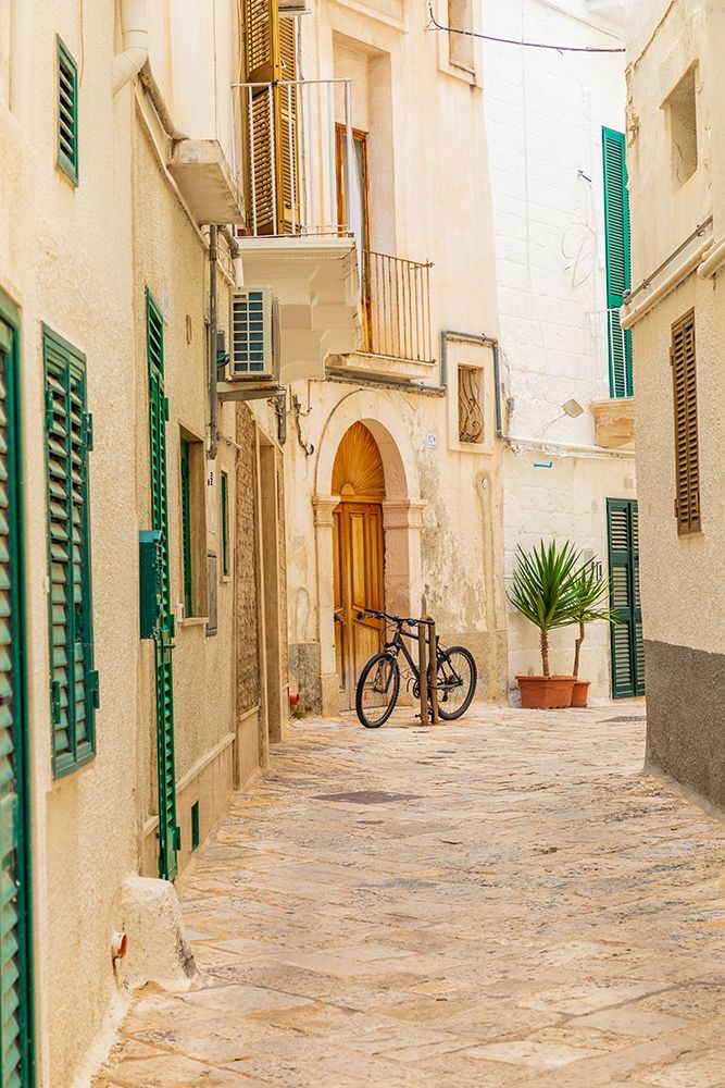 Wall art: Italy-Apulia-Metropolitan City of Bari-Monopoli Narrow street between buildings-with a bicycle, by Wilson, Emily
