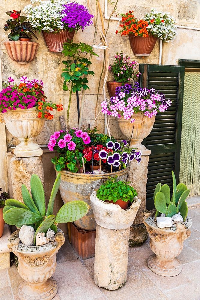 Wall Art Painting id:402949, Name: Italy-Apulia-Metropolitan City of Bari-Monopoli Flowers in planters outside a stone building, Artist: Wilson, Emily