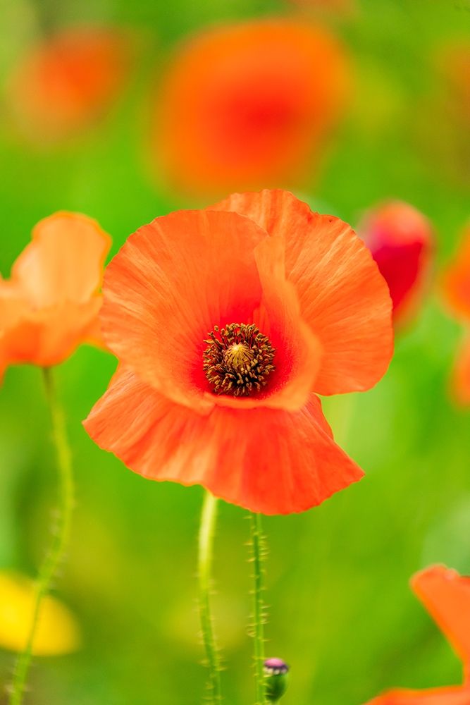 Similar wall art painting: 402974