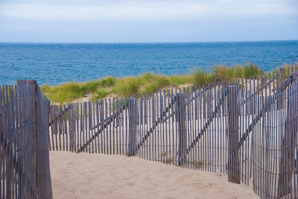 Wall Art Painting id:403574, Name: Path to the Beach, Artist: Miller, Anna