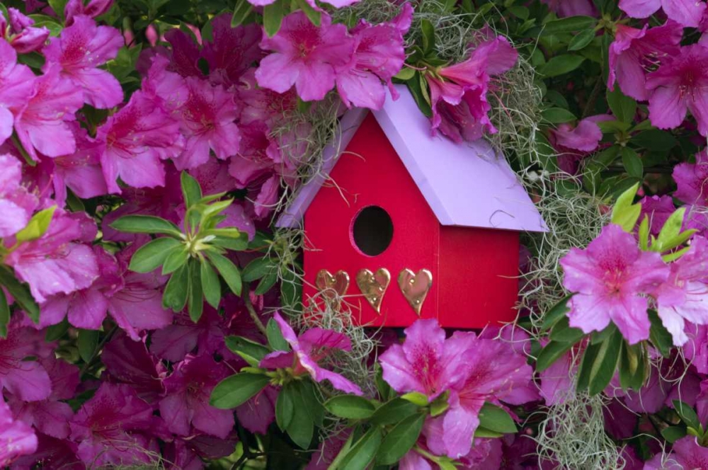 Art Print: Birdhouse and Azaleas in Garden