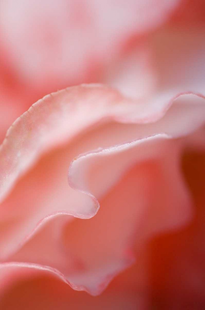 Similar wall art painting: 133608