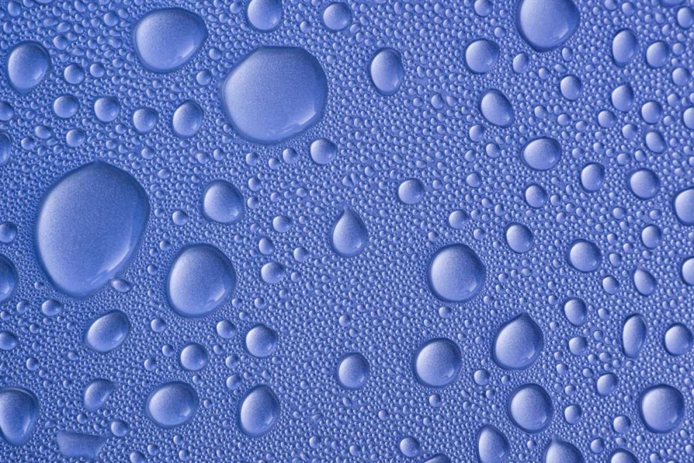 Similar wall art painting: 131685