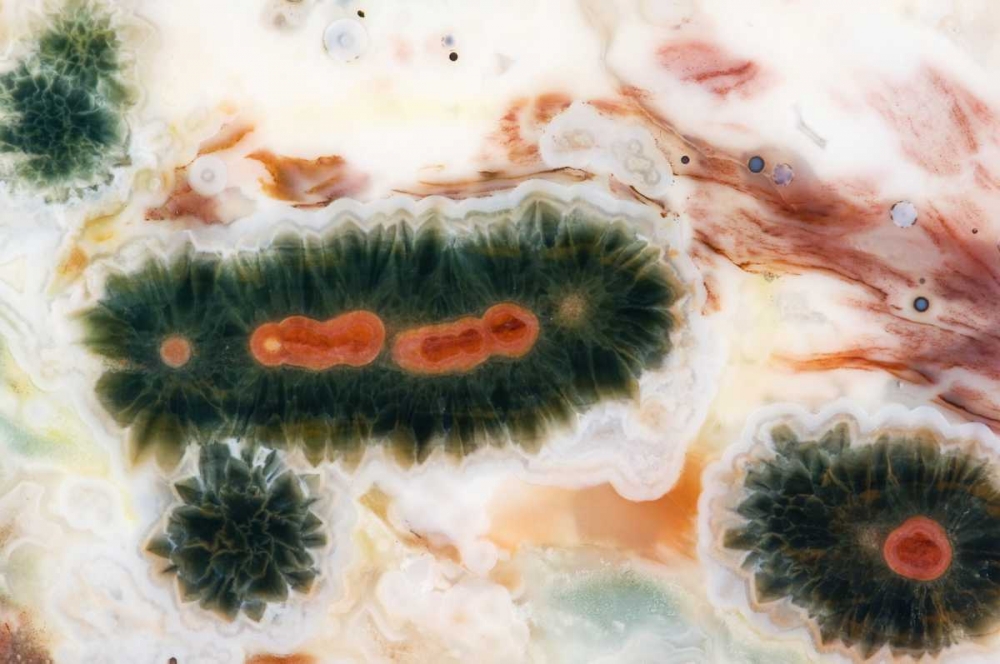 Art Print: Ocean jasper stone found in Madagascar