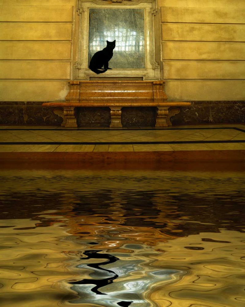 Art Print: Concept of black cat and water
