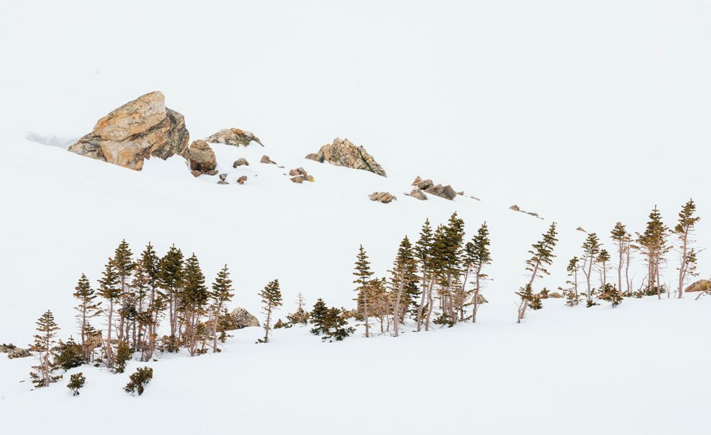 Art Print: Alpine winter landscape
