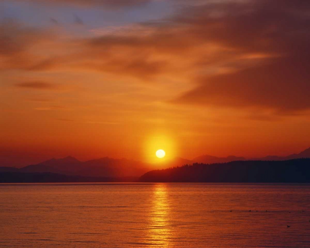 Art Print: Sunset over the Olympic Mountains, WA, USA