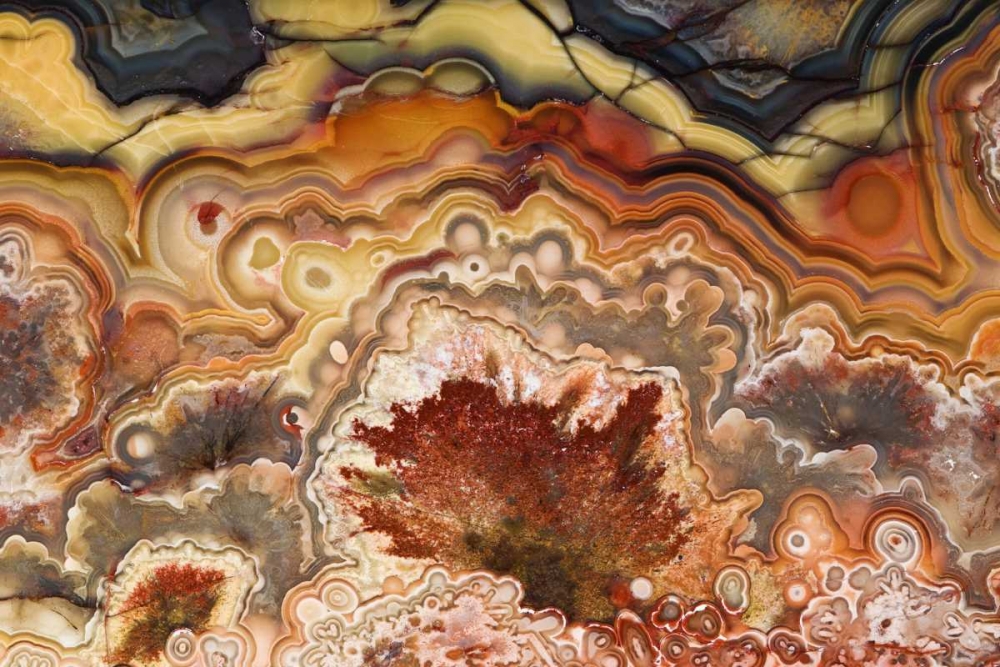 Art Print: Mexico Close-up of Crazy Lace Agate stone