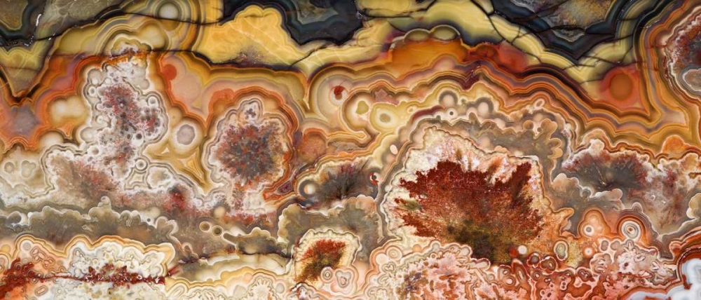 Art Print: Mexico Close-up of Crazy Lace Agate stone