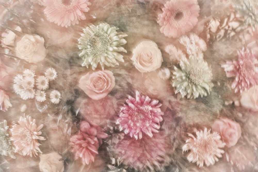 Art Print: Mexico Abstract of a flower arrangement