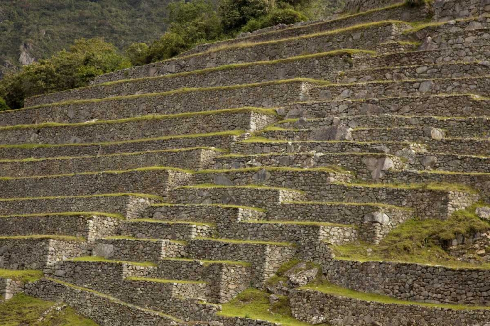 Wall Art Painting id:129979, Name: Peru, Machu Picchu Agricultural terraces, Artist: Kaveney, Wendy
