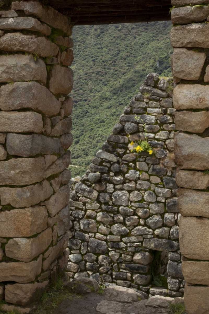 Wall Art Painting id:130435, Name: Peru, Machu Picchu Looking though window ruins, Artist: Kaveney, Wendy