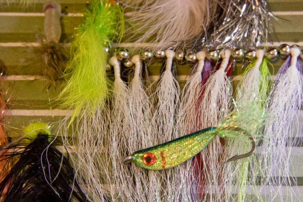 Wall Art Painting id:129881, Name: AK, Lake Clark NP Fishing flies, Artist: Kaveney, Wendy