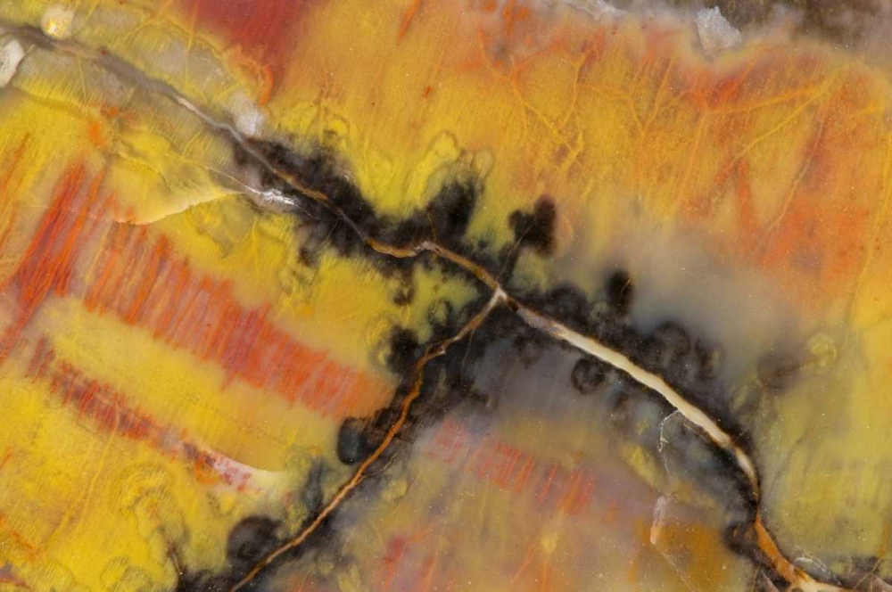 Similar wall art painting: 130676