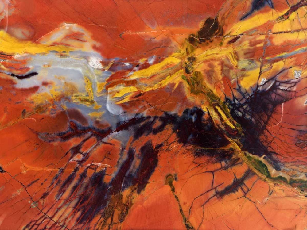 Art Print: USA, Arizona Close-up of petrified wood