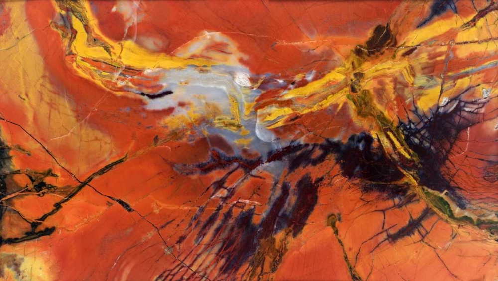 Art Print: USA, Arizona Close-up of petrified wood