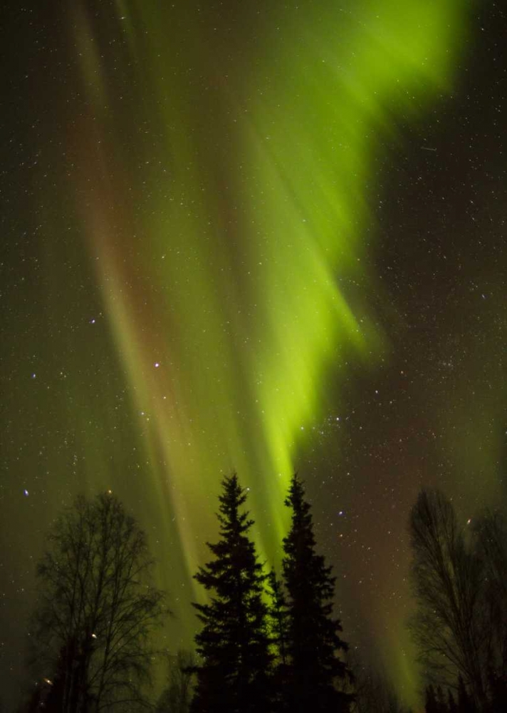 Art Print: Alaska, Chena Hot Springs Aurora borealis