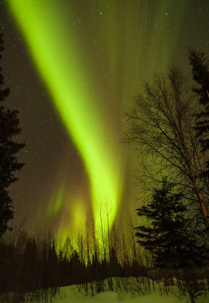 Art Print: Alaska, Chena Hot Springs Aurora borealis