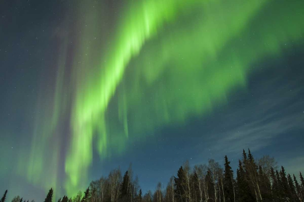 Art Print: USA, Alaska Aurora borealis over forest