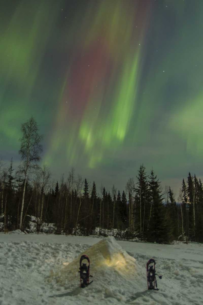 Wall Art Painting id:129302, Name: AK A quinzee snow shelter and aurora borealis, Artist: Illg, Cathy and Gordon