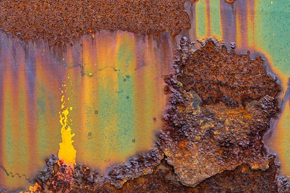 Art Print: Alaska-Tongass National Forest Rusted metal from an abandoned gold mine 