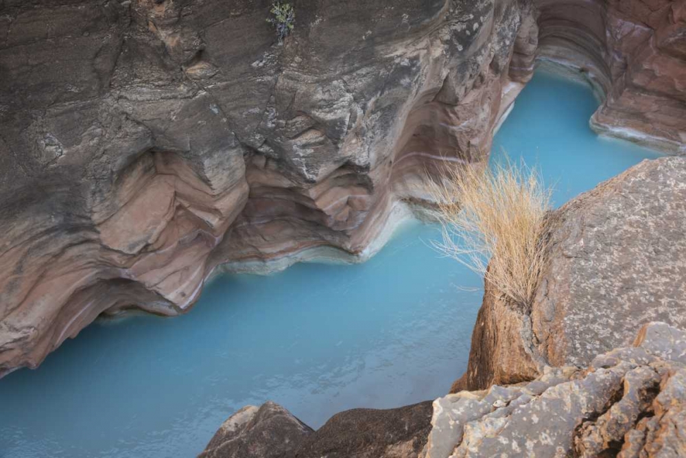 Art Print: AZ, Grand Canyon, Havasu Creeks through a gorge