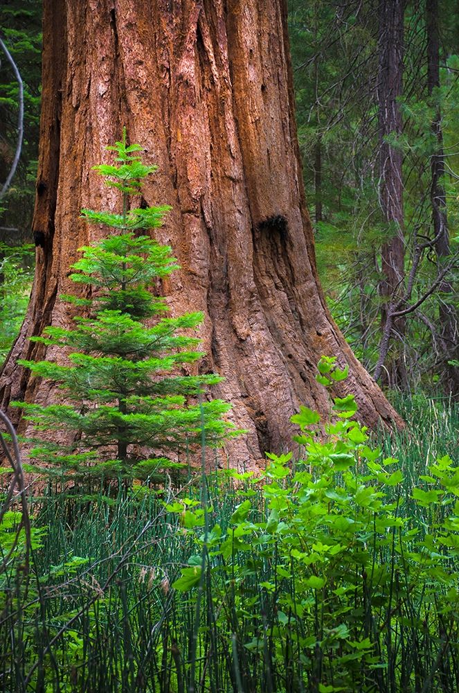 Similar wall art painting: 404848