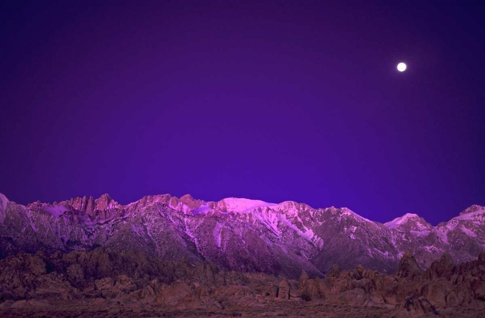 Wall Art Painting id:135922, Name: CA, Alabama Hills Moon over the Eastern Sierras, Artist: Welling, Dave