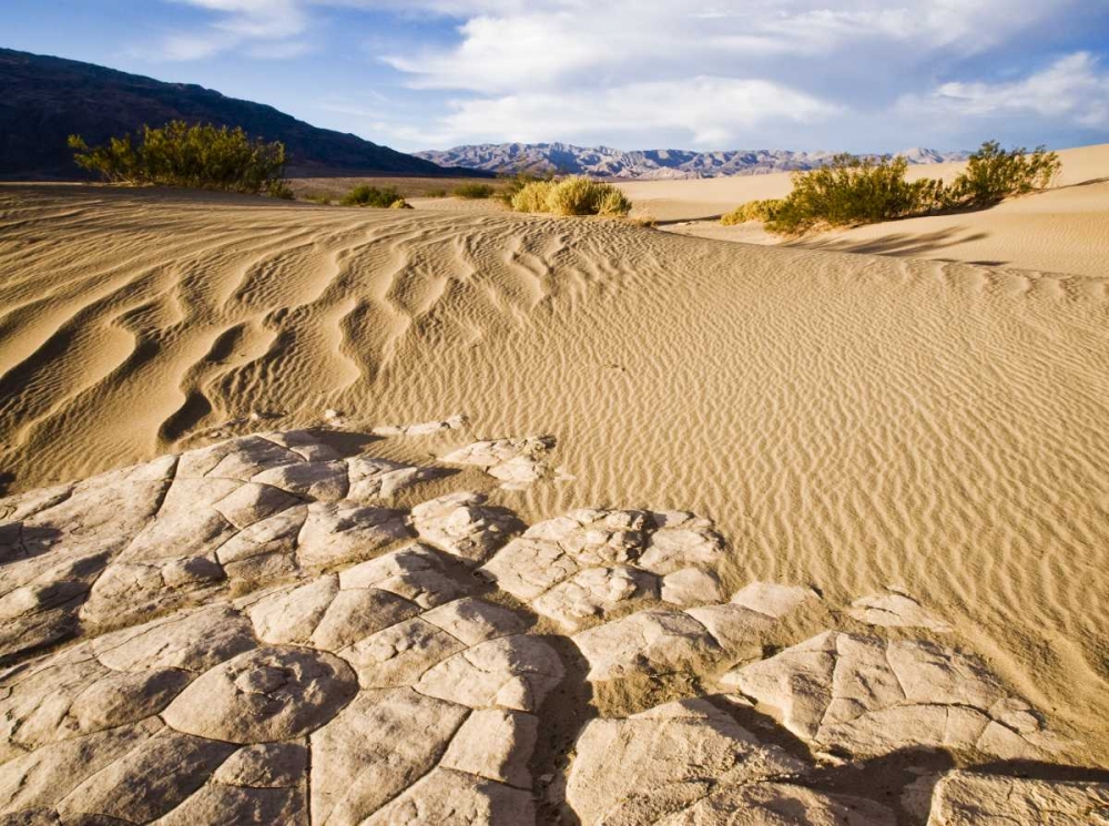 Art Print: CA, Death Valley NP Mesquite Flat Sand Dunes