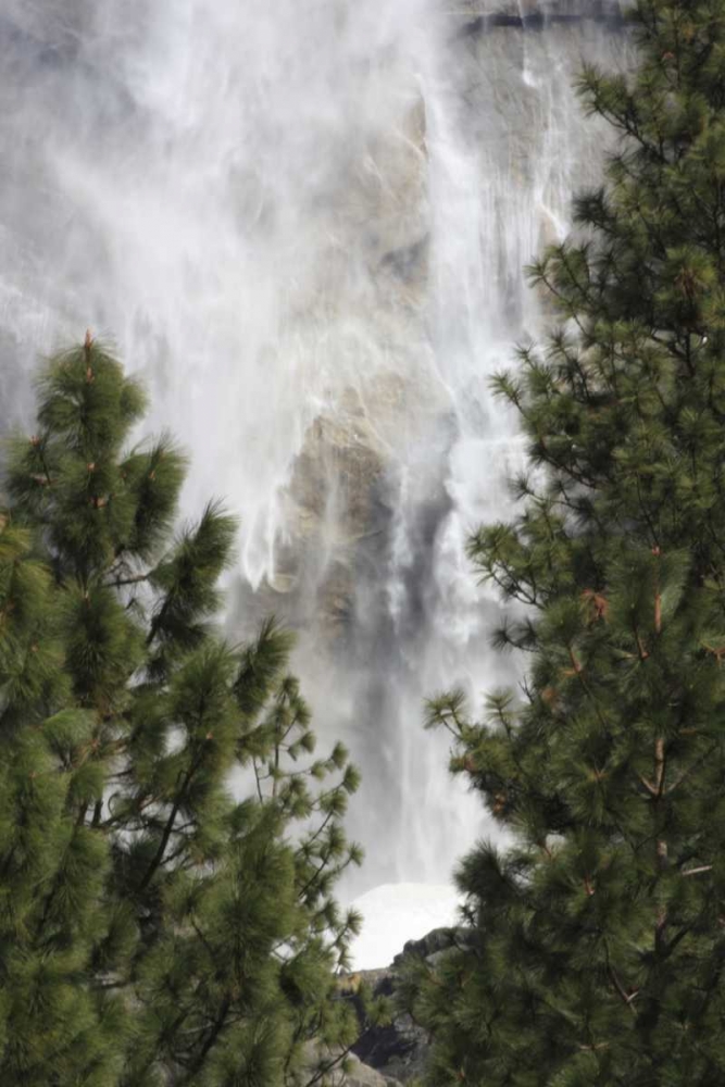 Wall Art Painting id:131341, Name: CA, Yosemite View o fYosemite Falls in March, Artist: Noble Gardner, Nancy