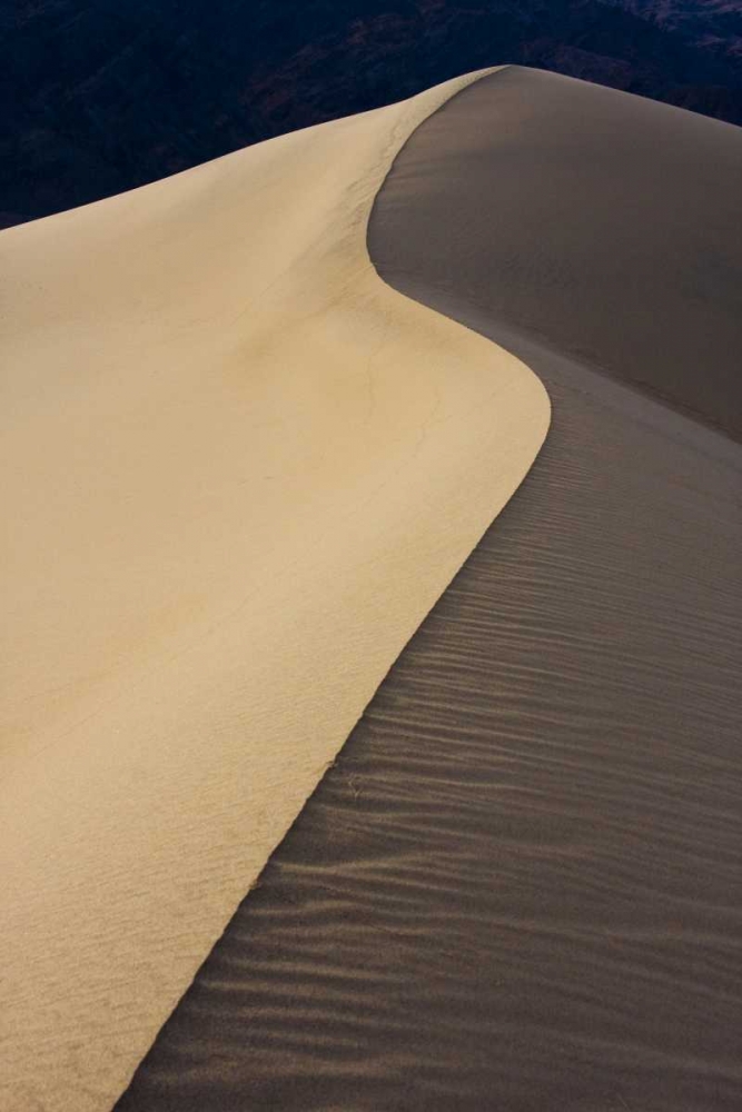 Art Print: CA, Death Valley NP Dune ridge in morning light