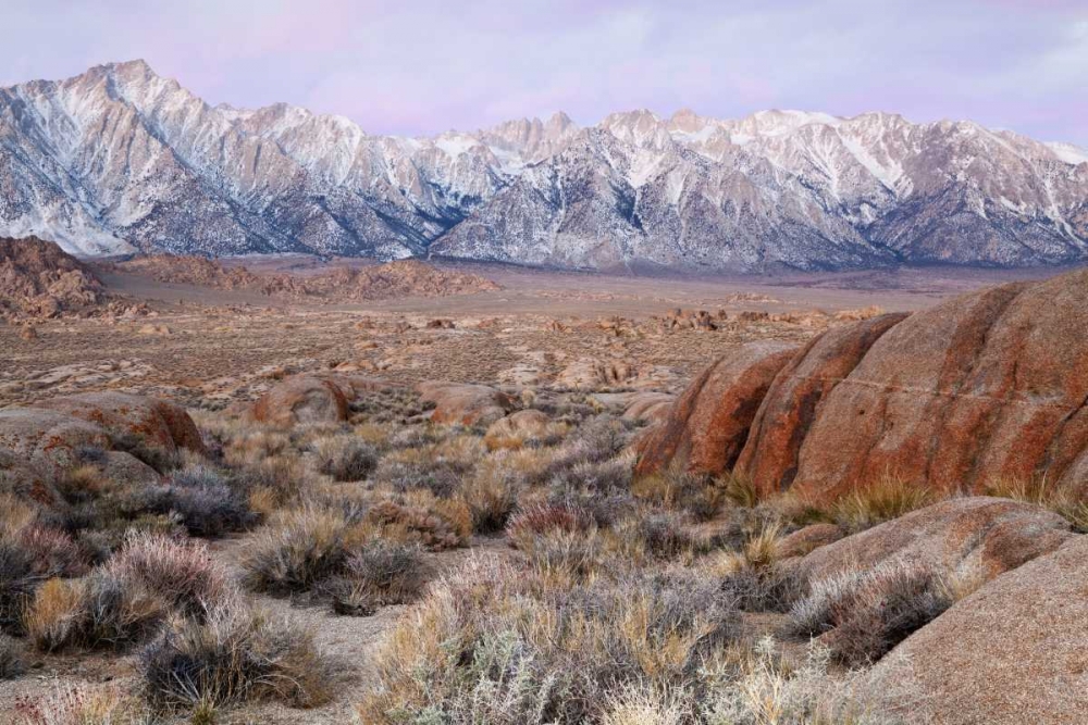 Art Print: California Lone Pine Peak and Mt Whitney