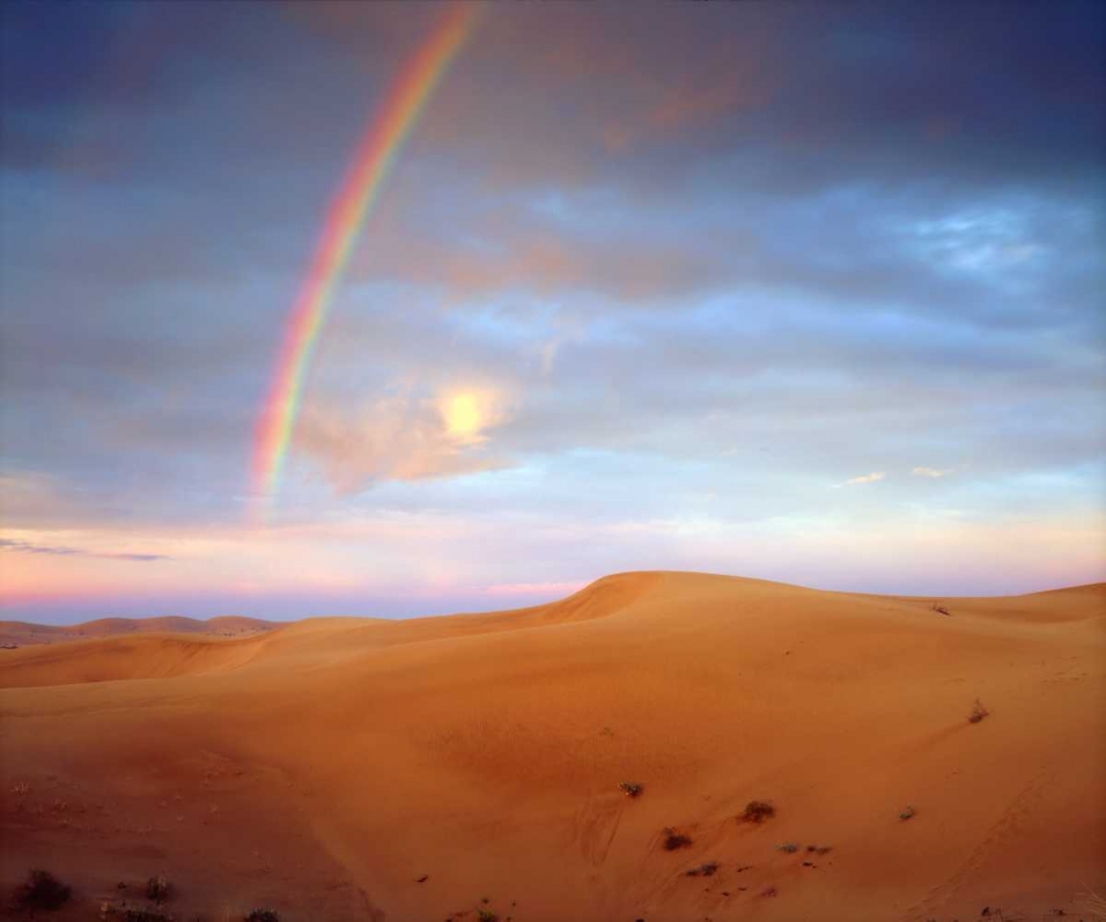 Wall art: CA, A rainbow over Glamis Sand Dunes at Sunrise, by Talbot Frank, Christopher