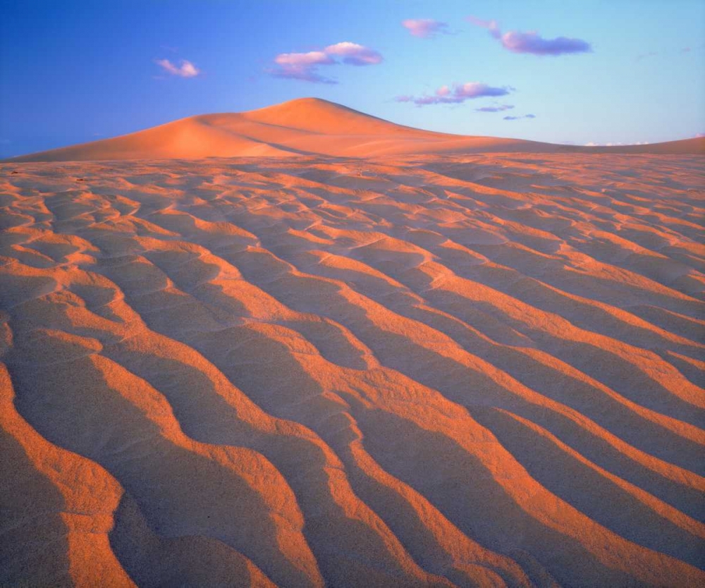 Art Print: California, Dumont Dunes, Sand Dunes and Clouds