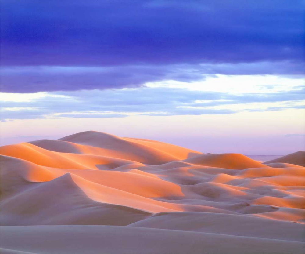 Art Print: USA, California, Glamis Sand Dunes at sunset