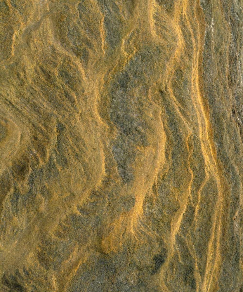 Art Print: CA, San Diego, Patterns of Sandstone at the beach