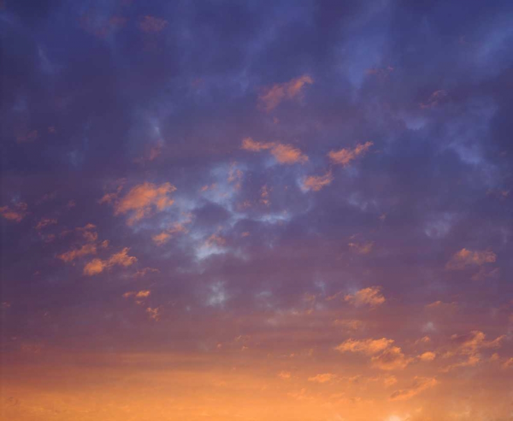Art Print: USA, California, San Diego, Sunset Clouds