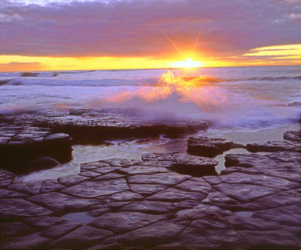 Art Print: CA, San Diego, Sunset Cliffs tide pools at Sunset