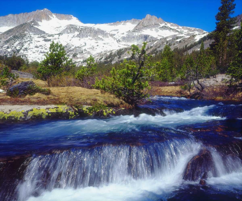 Art Print: CA, Sierra Nevada A Creek in the High Sierra