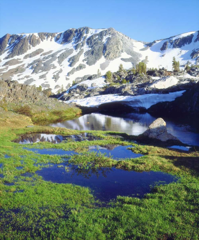 Art Print: California, Sierra Nevada Mountain tarn